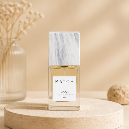 Match Horse - image 1
